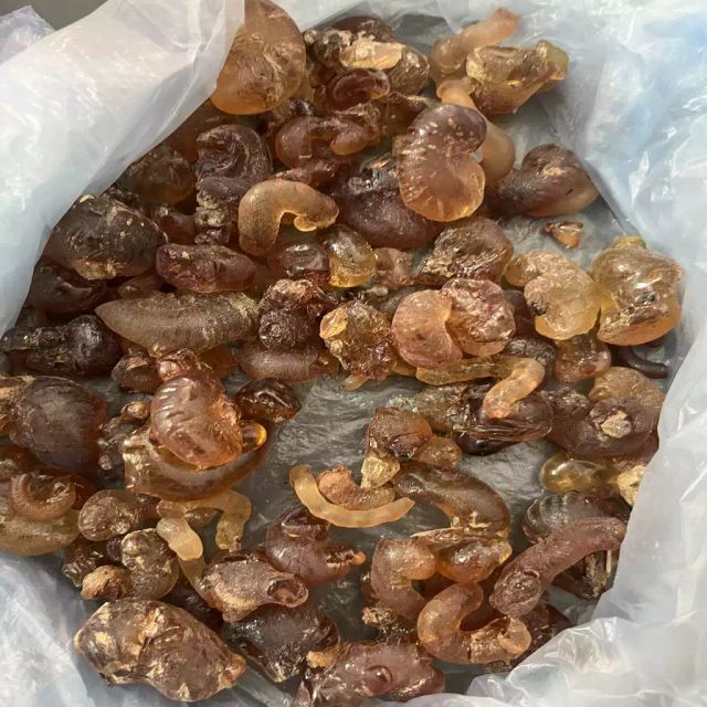 Gum Arabic - Image 2