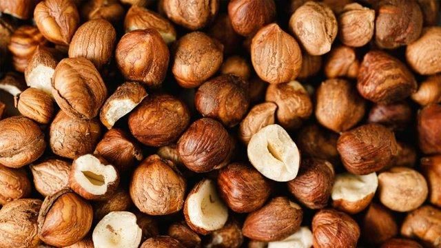 Hazel Nuts - Image 4