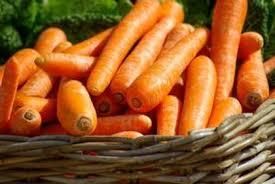 Premium Carrots Color Deep orange Packaging 20kg carton boxes Size 150mm to 200mm in length Shelf Life Up to 30 days under proper refrigerated - Image 2