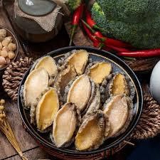 Frozen and Cooked Whole Abalone with Shell (Gutted) Weight (kg) 300g Shelf Life 18 months Storage Type Frozen at - Image 2