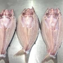pangasius, frozen fillet, frozen fish  - Image 6