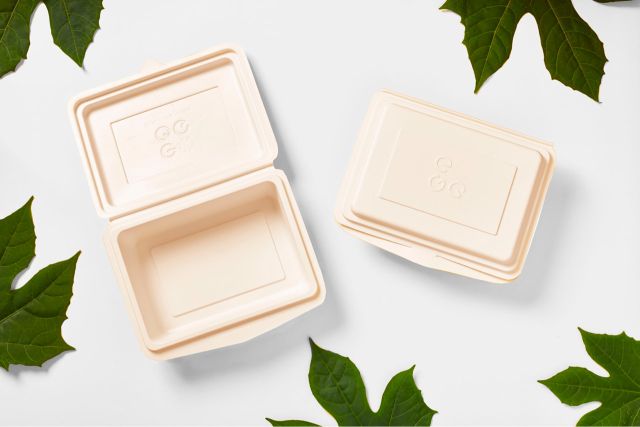 EGG Compostable Food Box 600 ml - Image 1