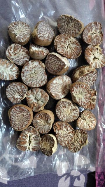 betel nut – product photo 1, product detail gallery