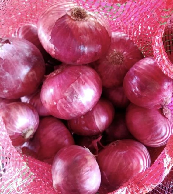 Fresh Onion Grade A Grade Size 55mm To 60mm+ Color Red, White, And Pink Packaging 10kg, 20kg, Or 25kg Durable Mesh Bags Cultivation Method Natural Cultivation Without Synthetic - Image 2
