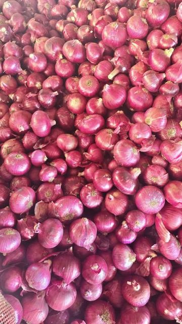 Fresh Onion Grade A Grade Size 55mm To 60mm+ Color Red, White, And Pink Packaging 10kg, 20kg, Or 25kg Durable Mesh Bags Cultivation Method Natural Cultivation Without Synthetic - Image 1
