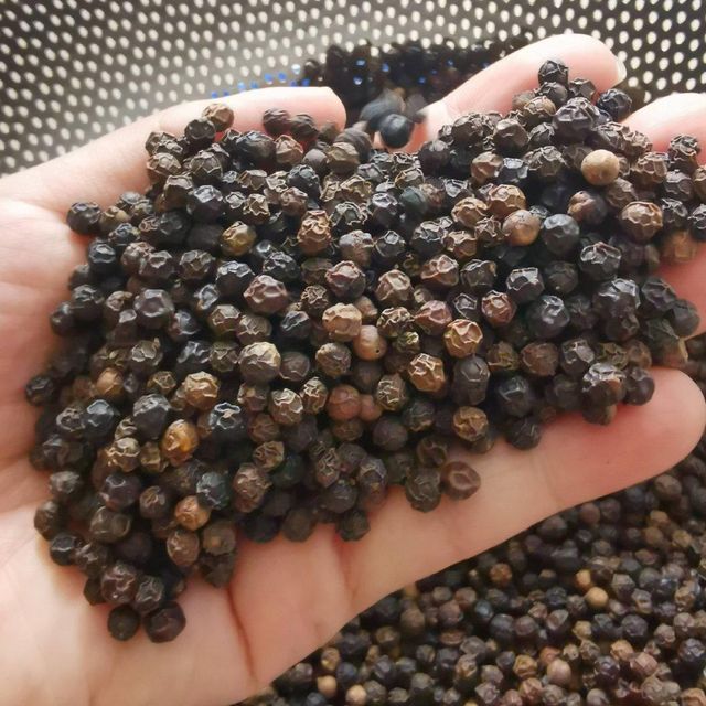 Spices black pepper Dried Bulk Black Pepper Premium Quality Made in Viet Nam Factory Price - Image 6