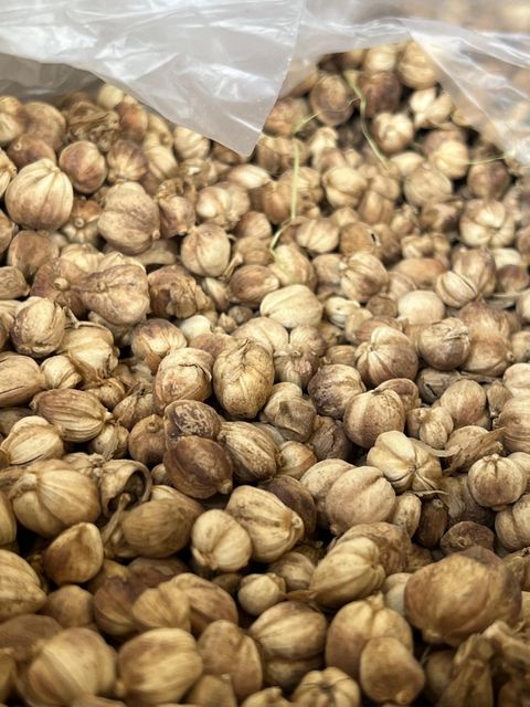 Premium white and brown Cardamom 12% water content size 8-9 mm - Image 2
