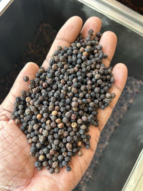 BLACK PEPPER 500G/L MALABAR TYPE 1 YEAR SHELF LIFE FROM INDIA – product photo 1, product detail gallery