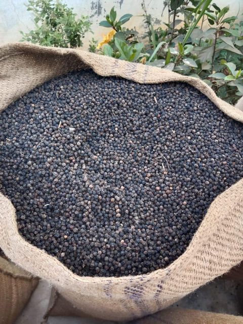 BLACK PEPPER 500G/L MALABAR TYPE 1 YEAR SHELF LIFE FROM INDIA – product photo 2, product detail gallery