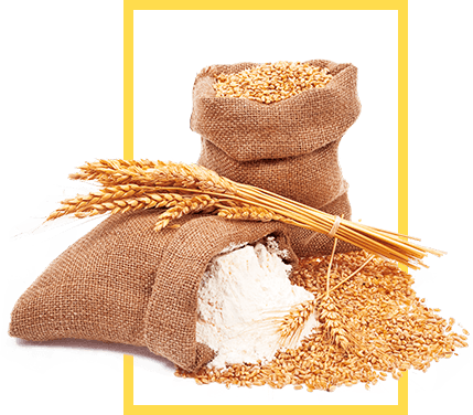 Organic Cereals Mix Organic Certification All Organic Oilseed Type Hemp Seeds, Sunflower Seeds Primary Use Human And Animal - Image 1