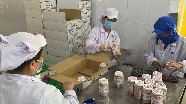 Unique product for South Korea and the USA markets - Baby Shrimp ( Salted and Frozen ) - Image 6