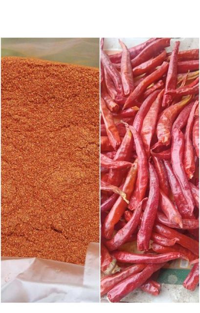 Red dried chillies Place of Origin PAKISTAN Grade Fully graded quality Packaging Details Depends on buyers - Image 3