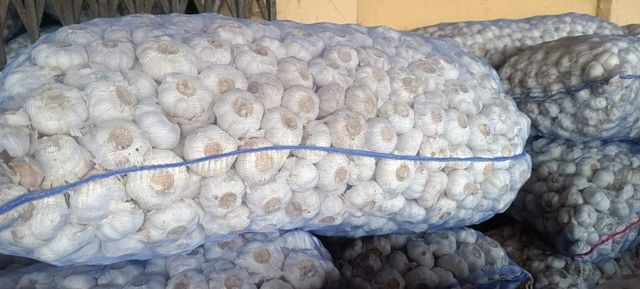 GARLIC BULBS AND PEELED  - Image 5