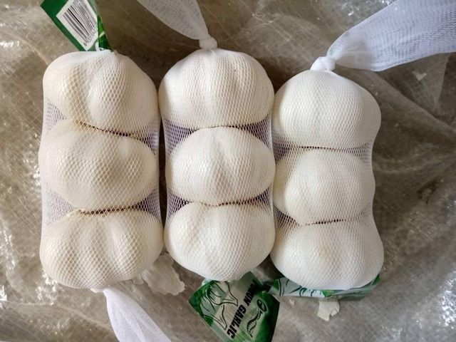 GARLIC BULBS AND PEELED  - Image 4