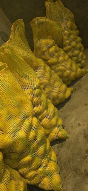 Potatoes  - Image 5