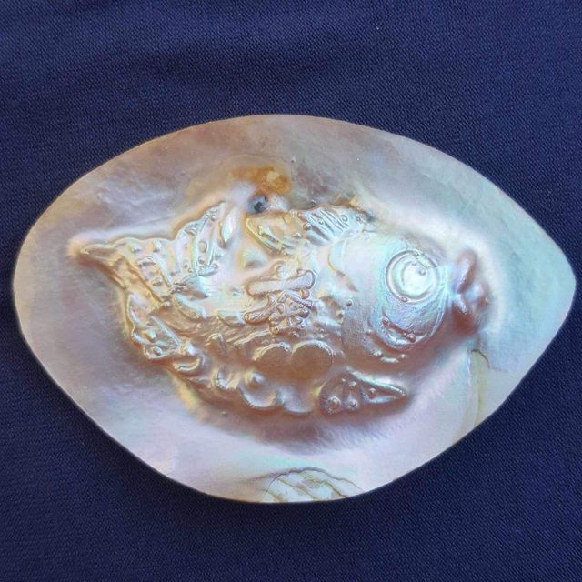 Company – photo 11 of 129, supplier detail gallery