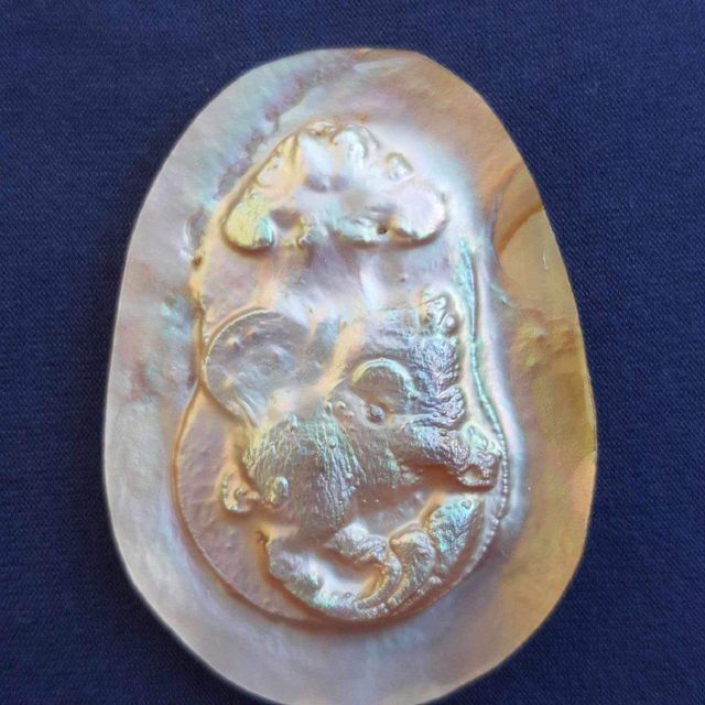 Company – photo 16 of 129, supplier detail gallery