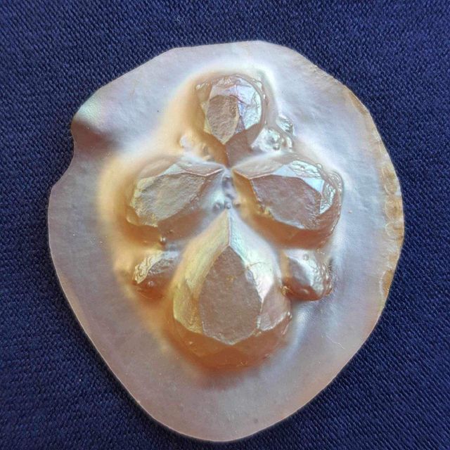 Company – photo 15 of 129, supplier detail gallery