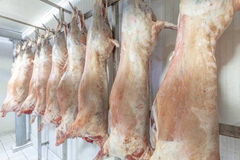 Premium Chilled Goat Meat Carcasses - Image 4