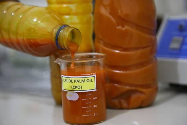 Source 100% pure refined Crude Palm Oil bulk price – product photo 2, product detail gallery