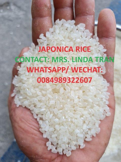 Jasmine Rice / Long Grain RiceFragrant 5% Broken - Perfurm Rice -riz- Arroz White Rice WHATSAP 0084 989 322 607 – product photo 3, product detail gallery