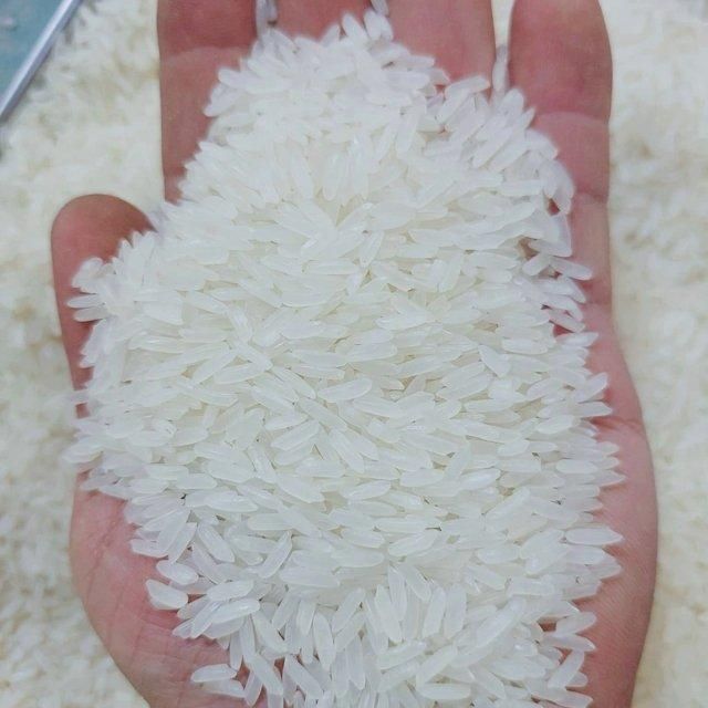High Quality Thai Premium Jasmine White Vietnamese Rice Long Grain 5% Broken Perfume Manufacturer Direct 100% Export Cheap Price - Image 5