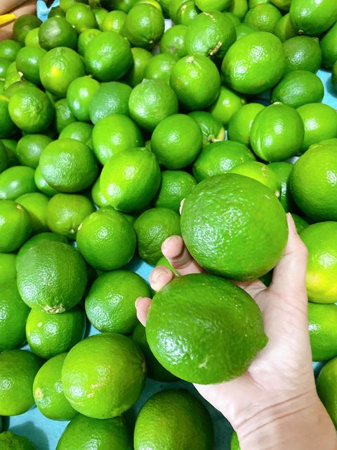 Fresh Green Pomelo Grapefruit Citrus fruit / Lime Seedless/ Dragon Fruits Whatsap 0084989322607 - Image 3