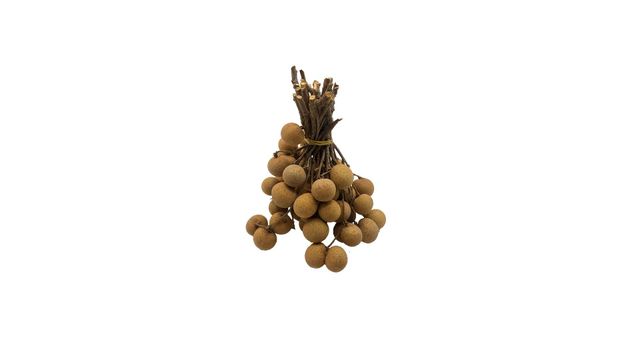 Premium Quality Imported Grade Longan Fruit Temperature measuring Quality Selecting Fresh Longan for Consuming from Thailand - Image 3