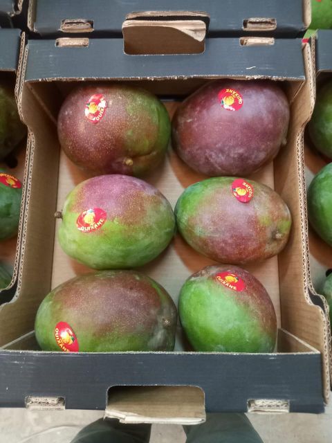 Mango Carton 6kg Mangue Kent Type - Image 2