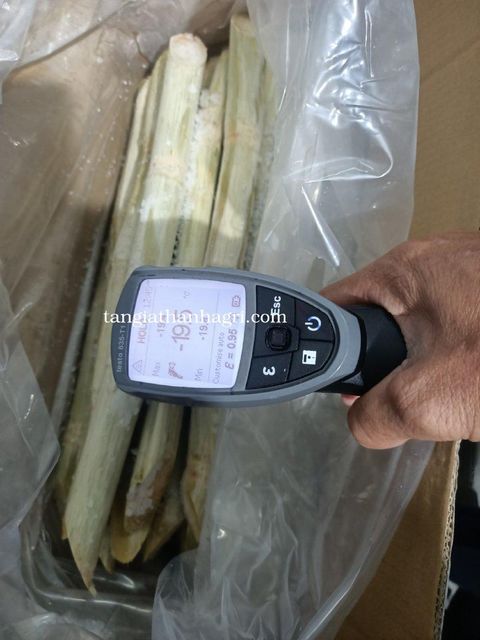 Frozen peeled sugarcane Type ROC 16 Origin Vietnam Packaging Carton Brix Level 18 Min Cut Length 40-50cm Place of Origin Vietnam - Image 3