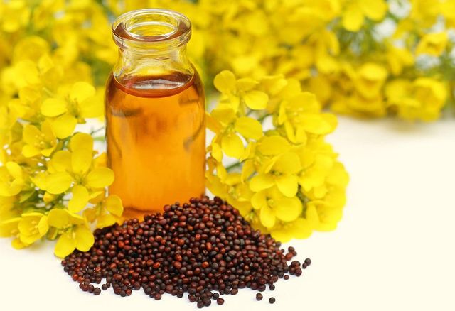 Pressed Mustard Oil / Pressed Mustard Oil for sale / wholesale price Pressed Mustard Oil/ - Image 1