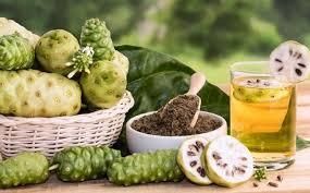 Cheap Noni Juice + Noni Fruit Powder  Quality Việt Nam Drying Process - Image 6