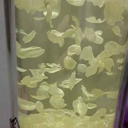 Fresh jasmine flowers, herbs, jasmine tea, dried flowers, buds, petals, food raw materials, direct supply from the planting base - Image 3