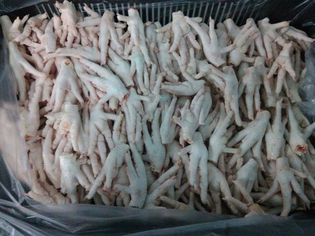 Frozen Grade A+ Chicken Feet, Frozen Chicken Paws - Image 1