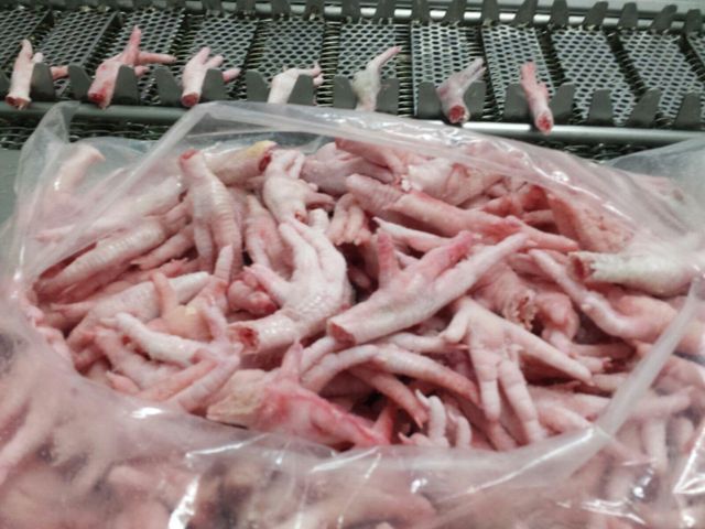 Frozen Grade A+ Chicken Feet, Frozen Chicken Paws - Image 2