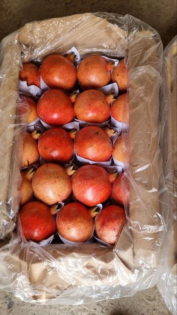 pomegranate - Image 2