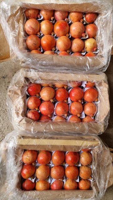 pomegranate - Image 3