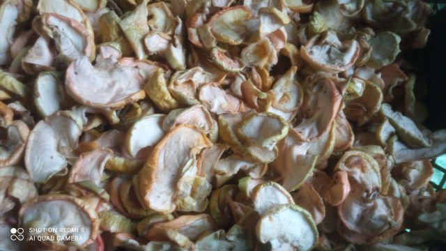 Dried apple Texture Dried Form Fruit And Vegetable Based Application Compote, Food Processing, Culinary Use Processing Methods Iqf Frozen, Freeze Dried, - Image 2