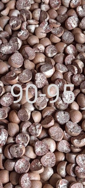 Betel Nuts – product photo 1, product detail gallery