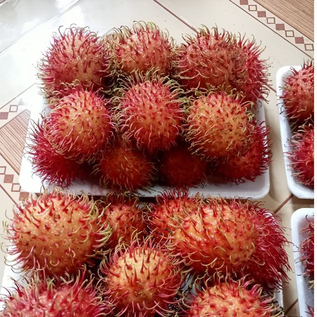 Fresh Rambutan Grade A Packaging Cartoon Cultivation Type - Image 3
