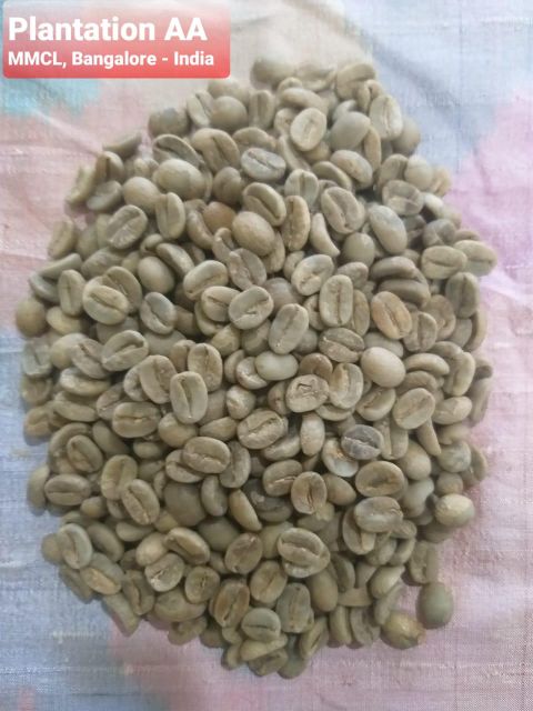 PLANTATION AA Origin India Grade AA SCR-19 Crop Type New Crop Place of Origin INDIA Processing Method Washed Packaging 60 Kgs Net In New Jute Bag - Image 1
