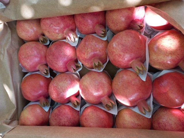 pomegranate fresh fruits - Image 7