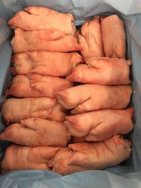 Buy pork front feet, back feet, and hock at a competitive price/ Where to purchase cheap pork feet and hock cuts / How to order pork front and back feet online/ Purchase fresh pork hock for a cheap rate/ Competitive price offers for bulk pork feet and hock - Image 2