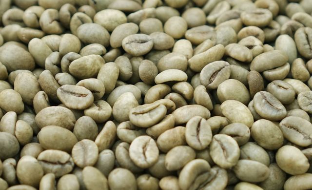 Green Coffee Grade 1 Screen 18 Wet Polished - Image 1