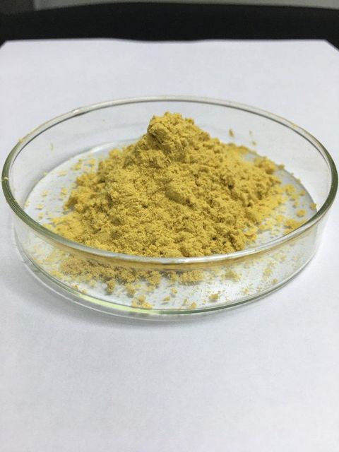 Rosemary Extract Grade EU Criteria; Manufacturer Specialized in Rosemary extract over 20 years Certification KOSHER, HALAL, USDA, ECORT, EcoVadis, FSSC22000, - Image 1