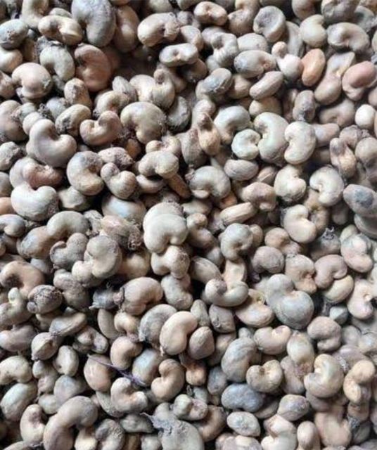 RAW Cashew Nut – product photo 1, product detail gallery
