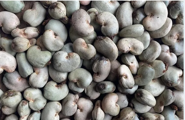 RAW Cashew Nut – product photo 2, product detail gallery