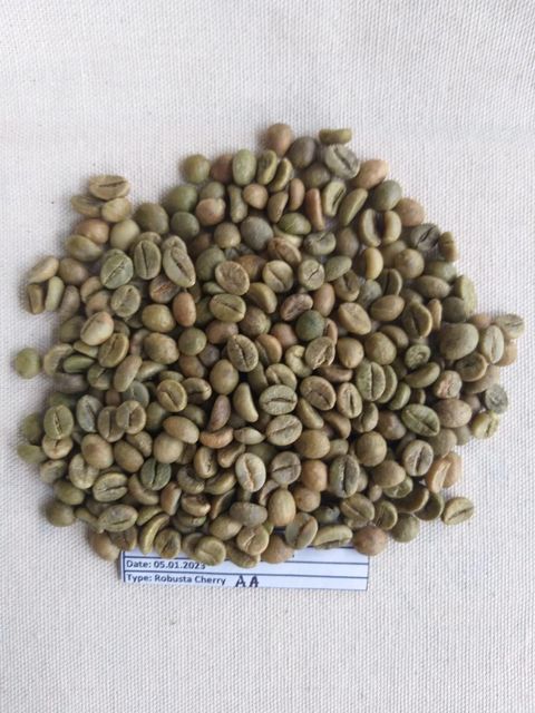 ROBUSTA CHERRY AA Scr 18 Origin India Packing 60 Kgs (net) Place of Origin INDIA Max. Moisture (%) 12.75% Packaging Details 60 KGS NET IN NEW JUTE BAG - Image 1