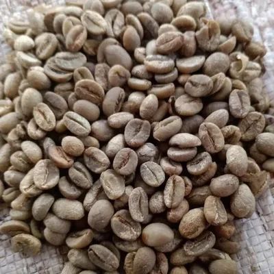 Specialty & Commercial Grade Indonesian Arabica Green Coffee Beans - Image 3