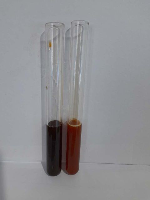 Onion Juice Concentrate 70 Brix - Image 3